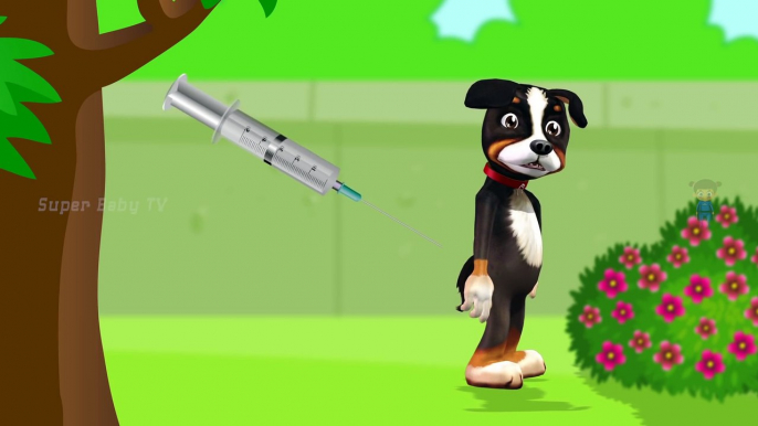 Funny Little Dog Injections in The Bottom - Learning Colors for Kids with 3D Dog_78