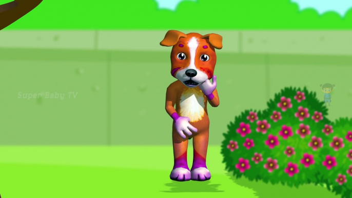 Funny Little Dog Injections in The Bottom - Learning Colors for Kids with 3D Dog_82