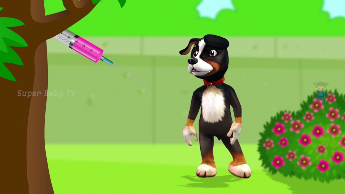 Funny Little Dog Injections in The Bottom - Learning Colors for Kids with 3D Dog_94