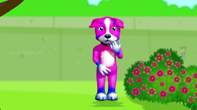 Funny Little Dog Injections in The Bottom - Learning Colors for Kids with 3D Dog_7