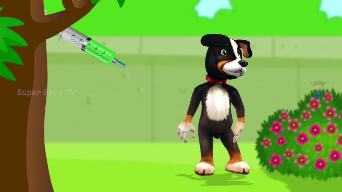 Funny Little Dog Injections in The Bottom - Learning Colors for Kids with 3D Dog_13