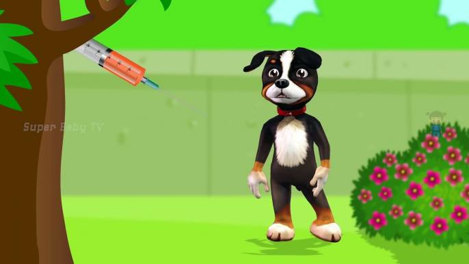 Funny Little Dog Injections in The Bottom - Learning Colors for Kids with 3D Dog_14