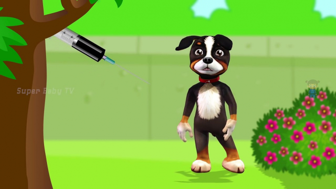 Funny Little Dog Injections in The Bottom - Learning Colors for Kids with 3D Dog_19