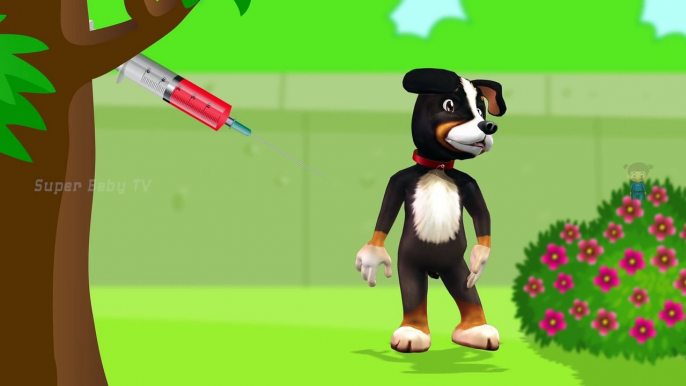 Funny Little Dog Injections in The Bottom - Learning Colors for Kids with 3D Dog_21