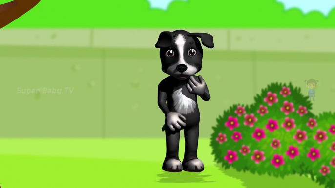 Funny Little Dog Injections in The Bottom - Learning Colors for Kids with 3D Dog_29