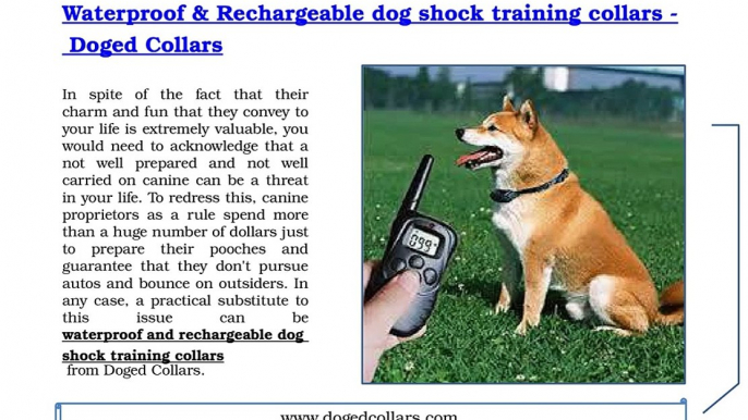 Waterproof & Rechargeable dog shock training collars - Doged Collars