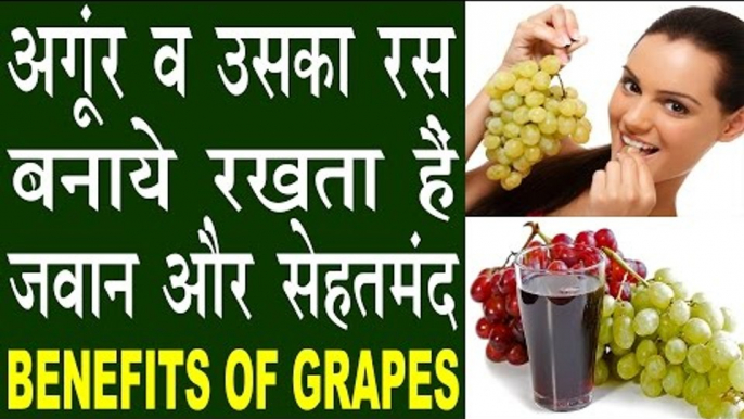 अंगूर व उसका रस करता है कई रोगों को दूर | Health And Beauty Benefits Of Grapes In Hindi