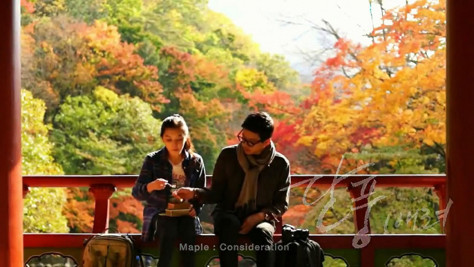 Red leaf season in Korea