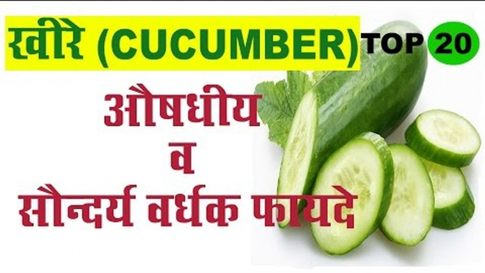 खीरे (Cucumber)के स्वास्थवर्धक व औषधीय फायदे | Health Benefits Of Cucumber| Kheera Ke Fayda In Hindi