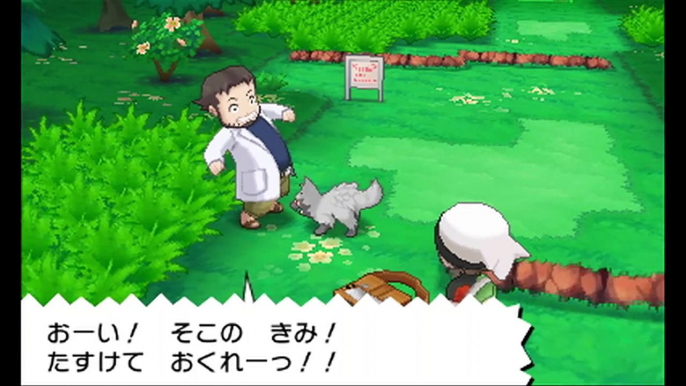 【公式】比べてみよう！（右２）「ポケモンとの出会い編」『ポケ�