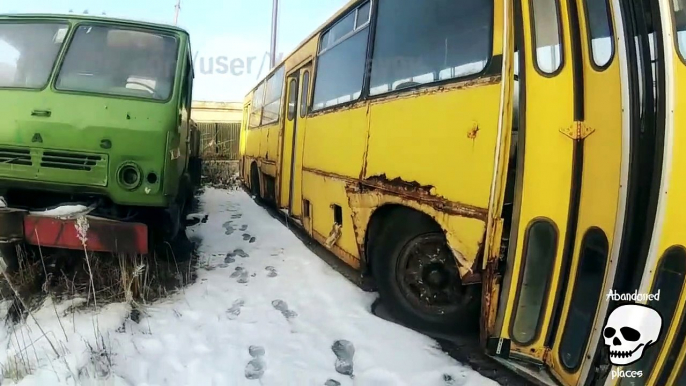 Abandoned buses. Forgotten rusty buses. Abandoned vehicles Ikarus bus