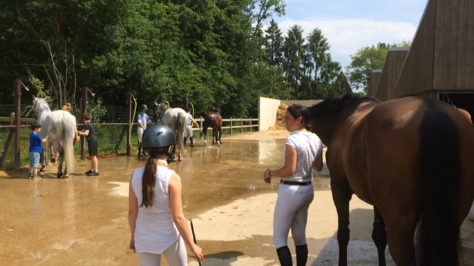 Concours de sauts d'obstacles