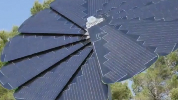 These floral solar panels are redefining flower power [Mic Archives]