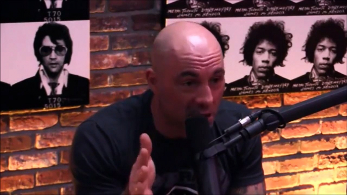 Joe Rogan and Gavin McInnes on Milo Yiannopoulos Controversy - Downloaded from youpak.com (2)