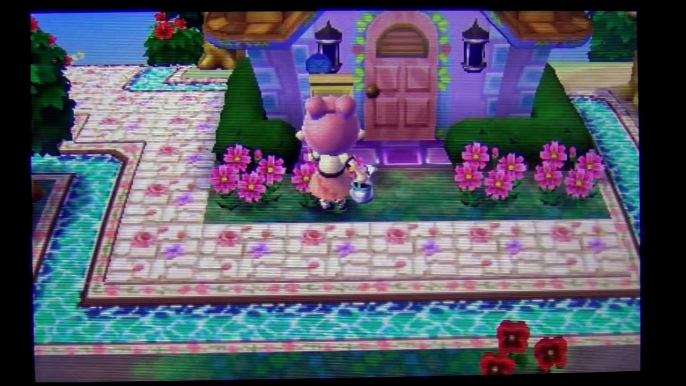 ACNL Dream Town Tour: Zwirner