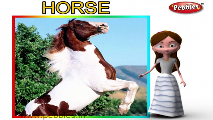 Horse | 3D animated nursery rhymes for kids with lyrics | popular animals rhyme for kids | Horse song | Animal songs | Funny rhymes for kids | cartoon | 3D animation | Top rhymes of animals for children