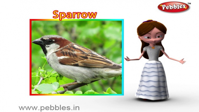 Sparrow | 3D animated nursery rhymes for kids with lyrics  | popular Birds rhyme for kids | Sparrow song | bird songs |  Funny rhymes for kids | cartoon  | 3D animation | Top rhymes of bird for children