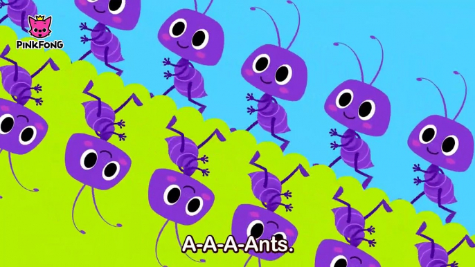 Ants in My Pants _ Bug Songs _ PINKFONG Songs-hzOyrBB82cY