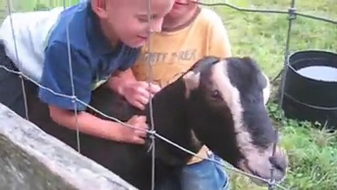 Best Of Animals And Kids   10 Minutes of Animal Encounters   AFV Kids