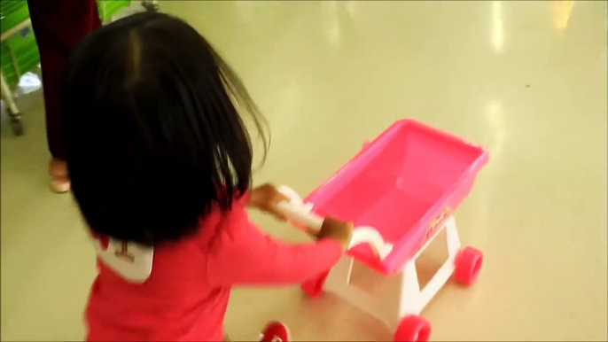 Baby Doing Grocery Shopping at Supermarket with Toy Shopping Cart - Donna The Ex