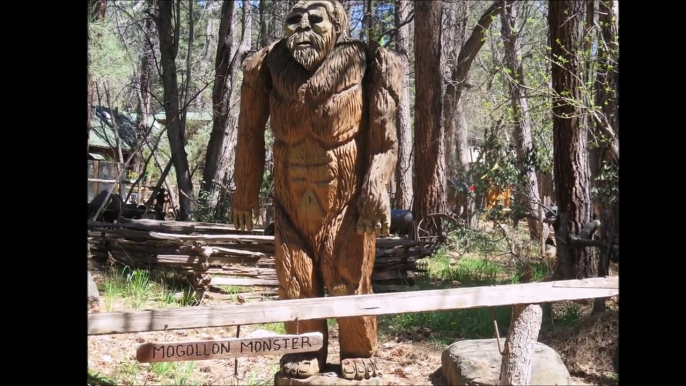 Girl Goes Berserk as Bigfoot steps towards her between Grand Canyon & Flagstaff