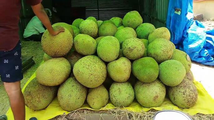 The fresh jackfruit of India