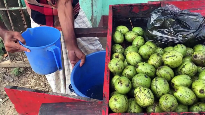 Indian apple veins are reddish in Indian style