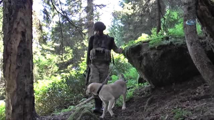 Jöh ve Pöh Ekiplerinden PKK Sığınağına Operasyon