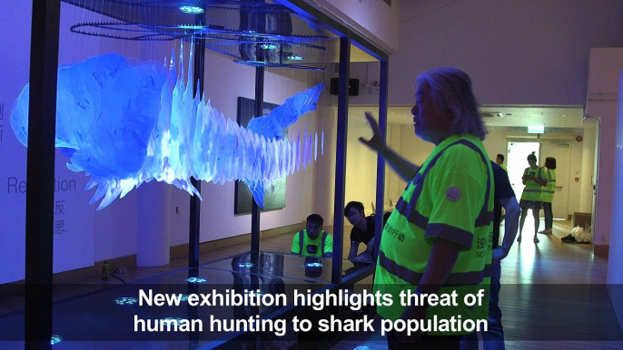 Hong Kong displays shark art to protest fin trade