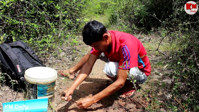 Awesome Quick Bird Trap Using Teeter PVC How To Make Teeter Bird Traps With PCV Works 100%