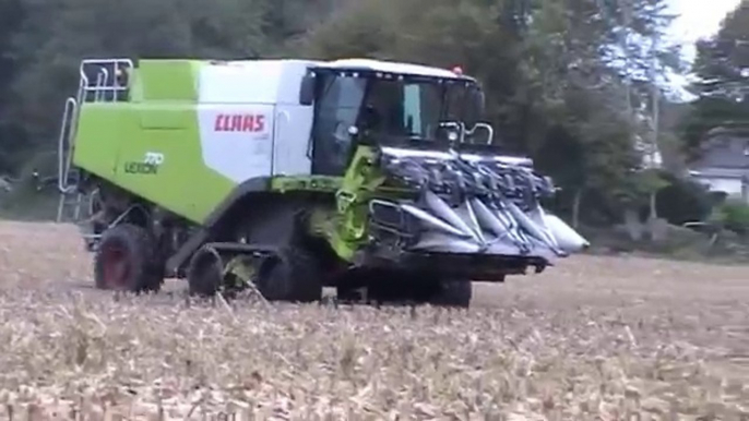 Moissonneuses-batteuses(chenilles avants) Claas Lexion 770 filmée en Bretagne .