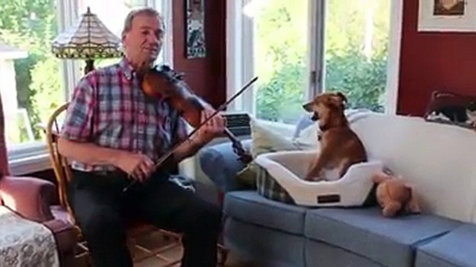 Man And Dog Make Great Musical Team