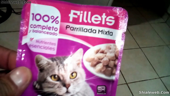 GATITOS ALIMENTANDO A LOS TRES TRISTES GATOS CON SOBRESITOS DE WISKAS PARRILLADA MIXTA