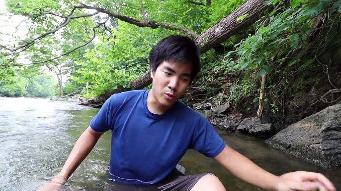 AMAZING Creek Fishing for Smallmouth Bass!!!