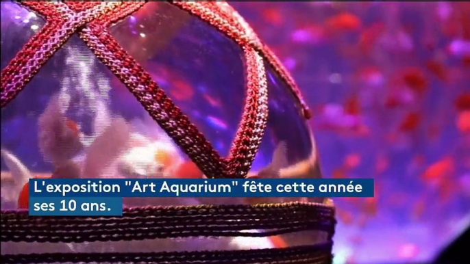 Des milliers de poissons rouges font le show dans une expo japonaise