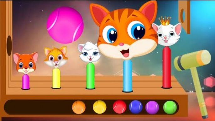 Learn Colors Wooden Face Hammer Xylophone Cute Cats + Finger Family Nursery Rhymes for Children