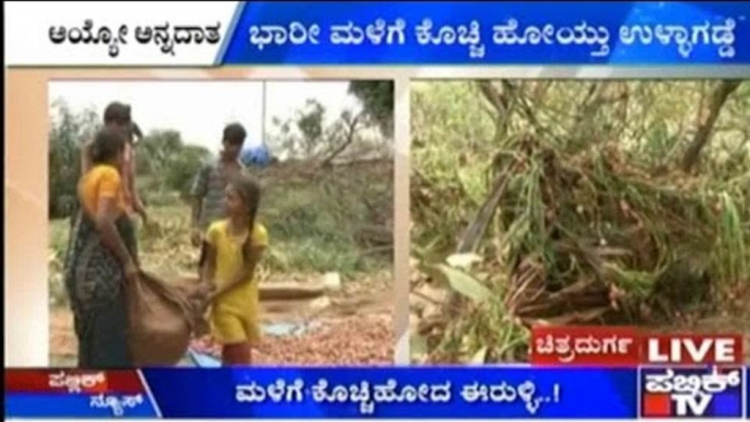 Chitradurga: Onion Crops Damaged Due To Heavy Rain