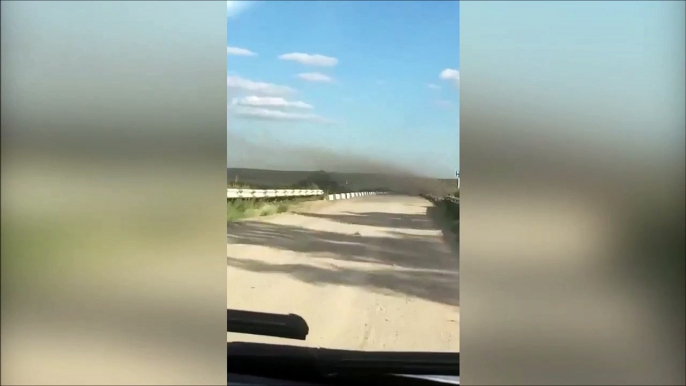 Ce conducteur va traverser un nuage de criquets... Flippant