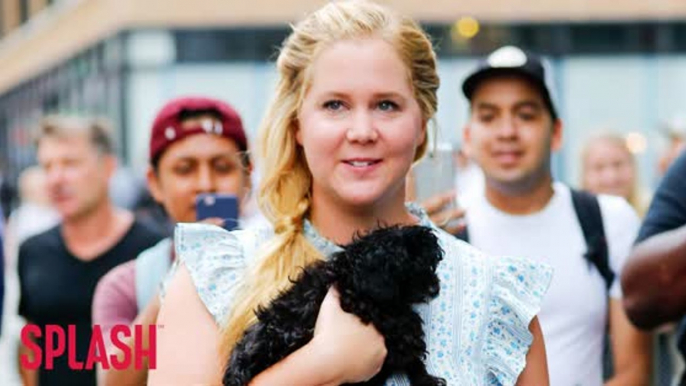 Amy Schumer is the Only Woman in Forbes Highest Paid Comedians List
