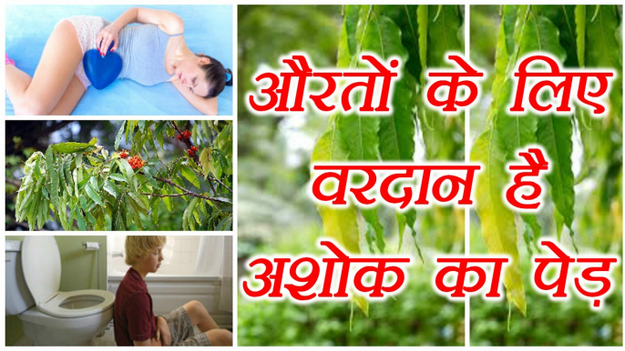 Ashoka tree Health Benefits | अशोक के पेड़ के फायदे | Boldsky