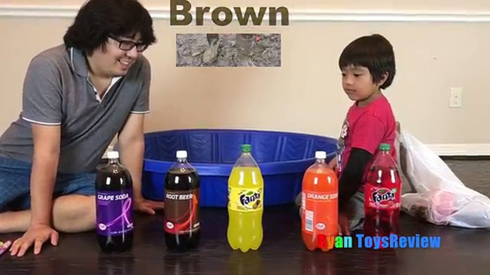 Et bébés enfants les couleurs couleurs pour enfants Apprendre les tout-petits avec coca cola fanta