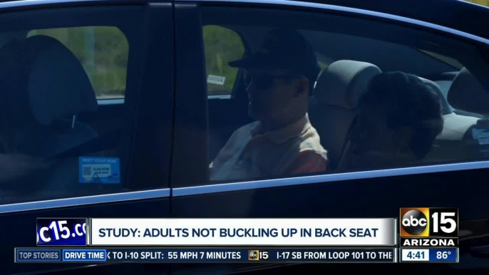 Study: Many adults not buckling up in the back seat