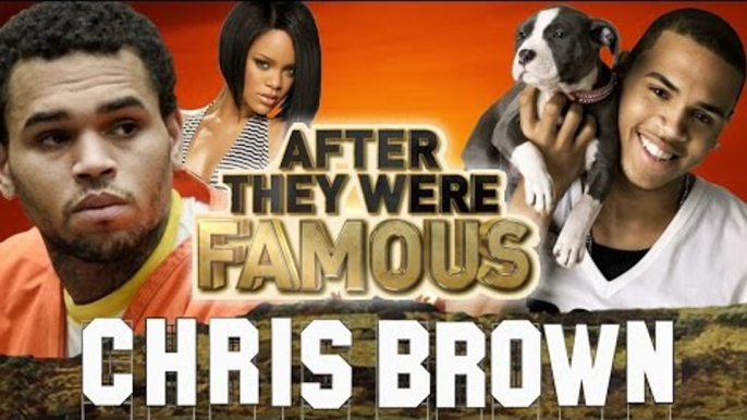 CHRIS BROWN - AFTER They Were Famous - RIHANNA & CHRIS