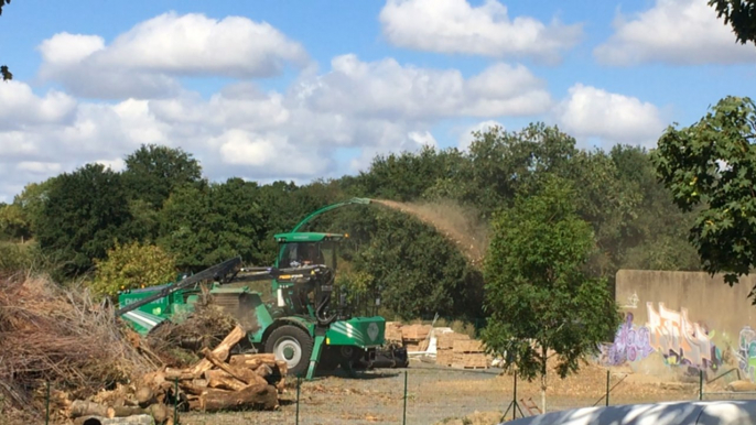 Solesmes fait son comice agricole