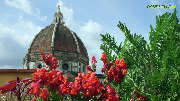 Orto in terrazzo: terra e irrigazione Bonduelle TV A spasso nellorto