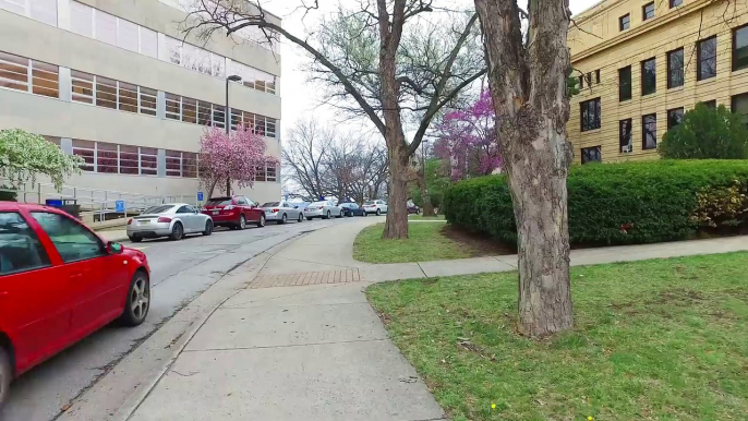 Walking around University of Kansas (KU) in Lawrence, Kansas 【4K】