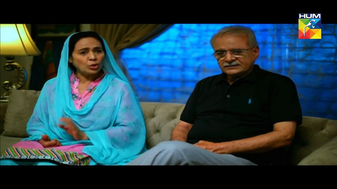 Adhi Gawahi Episode 12 Full on HUM TV Drama - 10 August 2017