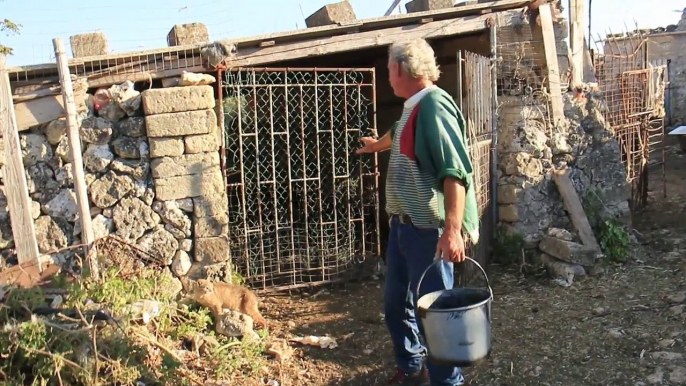 Fatto a mano Porti, capre e pecore. Serie documental de Juan Manuel Seoane Tiribelli