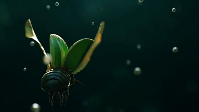 CGI Animated Spot HD Insects Spot by Ramtin Ahmadi MovieBuzz Clips