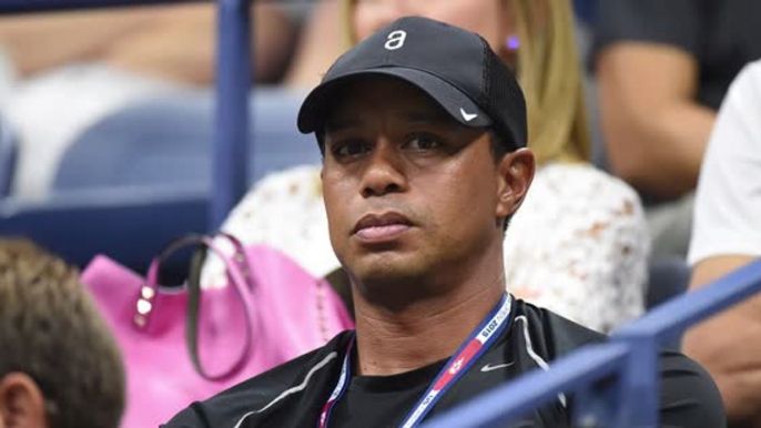 Tiger Woods Had Painkillers and THC in His System